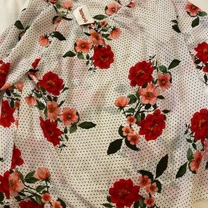 Zac and Rachel dress shirt